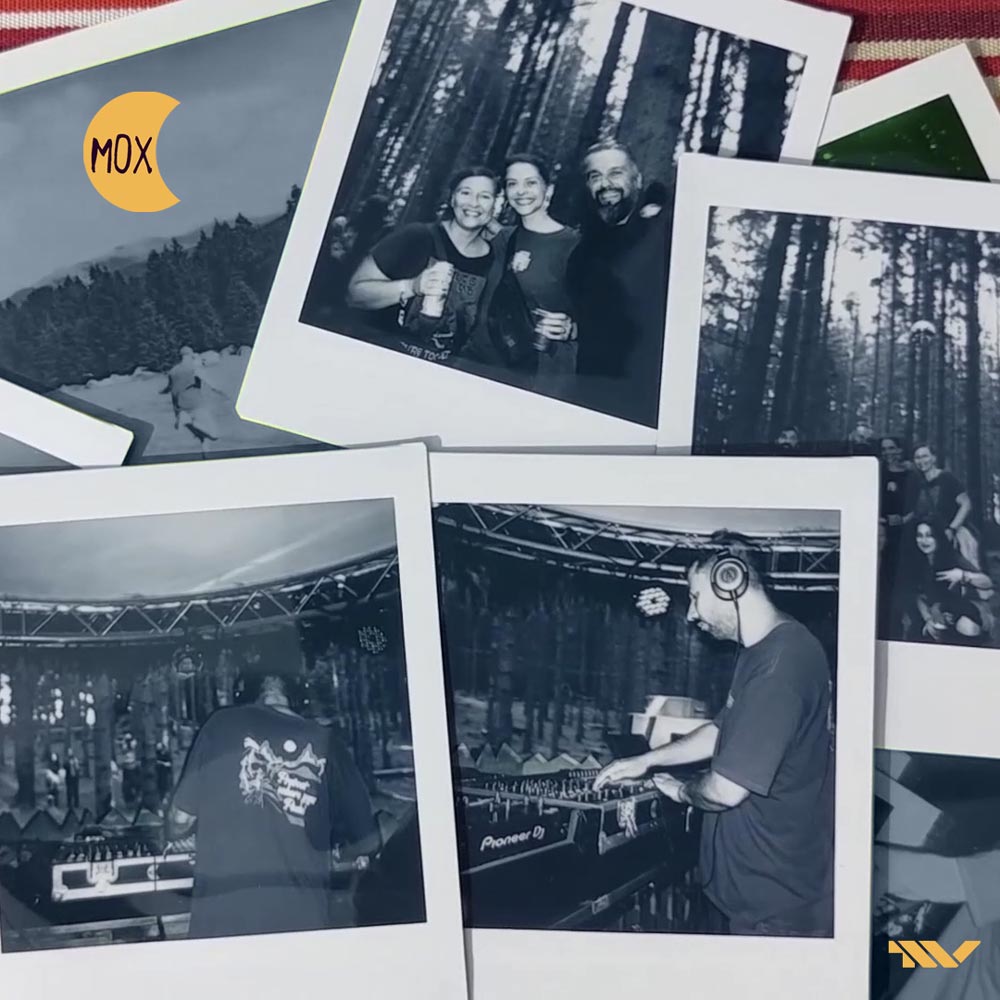 TMV's Essentials - Episode 323 - LIVE at MOX Festival (Lost in the Woods Stage - 2026-07-03) cover photo
